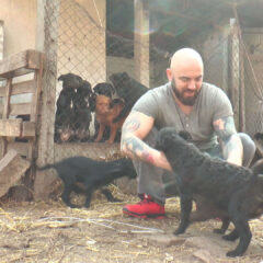 Humani Aleksandar u svom azilu brine o sto pasa