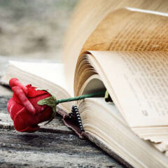 Šta da čitam sutra?