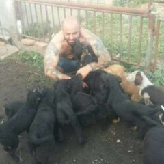 I pseći život je život