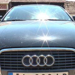 Od roda jagoda Pocerci voze audije