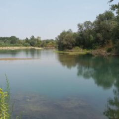 Drina i sva njena lica