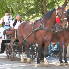 Bora Božanić 25 godina poziva Šapčane na Čivijadu
