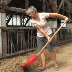 Farma šabačke istoričarke