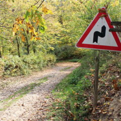 Duhoviti meštanin u svom selu postavio saobraćajne znakove