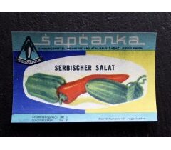 Šta je sve mogla Šapčanka?