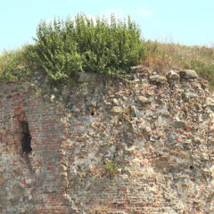 ШАБАЧКА ТВРЂАВА – НЕМИ СВЕДОК ИСТОРИЈЕ ГРАДА НА САВИ
