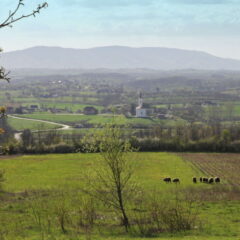 U OKOLINI ŠAPCA ODIGRANA JE PRVA POZORIŠNA PREDSTAVA U SRBIJI!