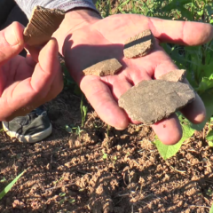 Последње трагове резиденције краља Драгутина односи река Сава