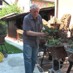 Павле Пантелић гради воденице, али не на реци, већ у свом дворишту