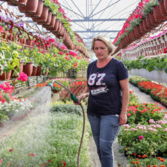 Боркина и Дејанова цветна бајка