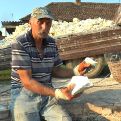 Mitrovići – Poslednji čuvari vatre u Posavotamnavi