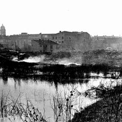 BENSKA BARA – OD STANIŠTA ZA PTICE I RIBE DO URBANOG NASELJA