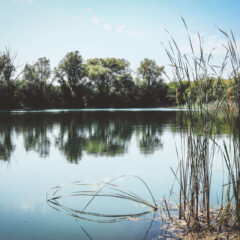Tabanovačka jezera – oaza za kupače i pecaroše