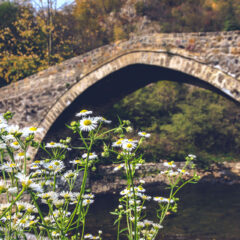 LATINSKA ĆUPRIJA KOJOM SU GAZILI RIMSKI, VIZANTIJSKI, DUBROVAČKI I TURSKI TRGOVCI  (VIDEO)