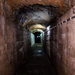 KAKO IZGLEDA TAJNI GRAD KARAĐORĐEVIĆA NA OBALI DRINE (VIDEO)