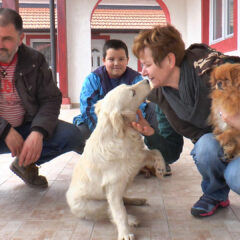 У МАНАСТИРУ ИЛИЊЕ СПАСАВАЈУ ПСЕ СИГУРНЕ СМРТИ