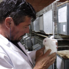 БАТАЦИ КУНИЋА ИЗ ЈЕЛЕНЧЕ СПЕЦИЈАЛИТЕТ НА ТРПЕЗИ ГУРМАНA