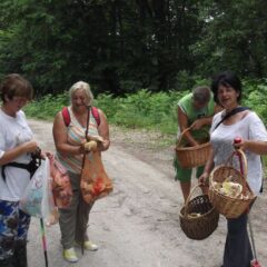 ЖИВОТ НА НЕОБИЧАН НАЧИН – ИЗ ГРАДА ПО ДОРУЧАК У ПРИРОДУ