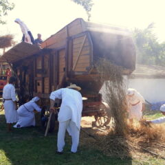 ВИТЕЗОВИ ПОДЕРАНИХ ОПАНАКА У СРЦУ ЧУВАЈУ ЖЕТВУ НА РУКЕ И СЕОСКИ ВРШАЈ