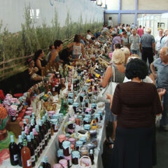 ПОДГОРЦИ СЛАВЕ „КРАЉИЦУ ВОЋА“ ЈЕР ИХ НИКАДА НИЈЕ ИЗДАЛА