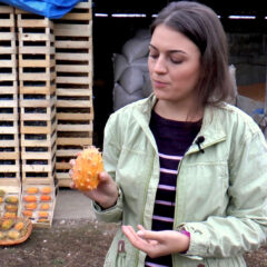 ДРАГОМАН МЕДУЛОВИЋ ПРОКА – НЕУМОРНИ КОРЕОГРАФ У ОСМОЈ ДЕЦЕНИЈИ