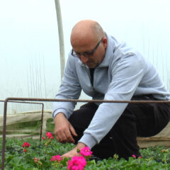 ПОЧЕО СА ПЕТУНИЈАМА, А САДА ПРОДА ПРЕКО 50.000 САКСИЈА ГОДИШЊЕ