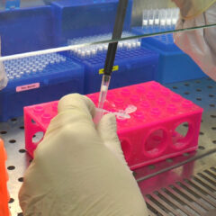 СВЕ ТРУДНИЦЕ НЕГАТИВНЕ НА КОРОНУ