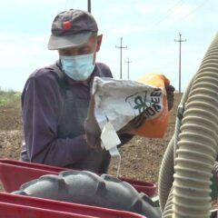 ПОСЛОВИ НА ЊИВИ НЕ МОГУ ДА ЧЕКАЈУ КРАЈ ПОЛИЦИЈСКОГ ЧАСА