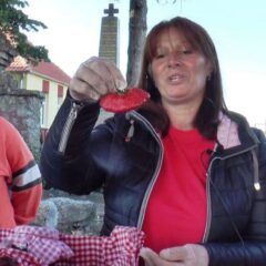 НАЈТЕЖА ЈАГОДА ПОЦЕРИНЕ УБРАНА У ДОМАЋИНСТВУ ВУЈКОВИЋ