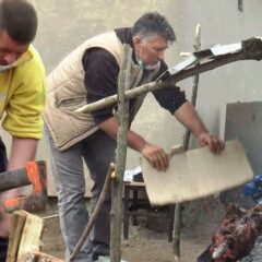 МОЖЕ И ОВАКО – ПРАСЕ И КОТЛИЋ У ДВОРИШТУ ЗА ПРВИ МАЈ