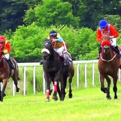 NA ŠABAČKOM HIPODROMU SPEKTAKL I BEZ PUBLIKE