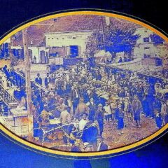 КАМИЧКОМ ЈЕ НЕКАДА ТЕКЛО МЛЕКО, А ДА ЛИ ЋЕМО МЕД ИКАД ДОЧЕКАТИ?!