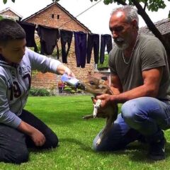 ГИЛЕ, ЈУНАК ПРАВЕ ФИЛМСКЕ ПРИЧЕ ИЗ СРЕМА