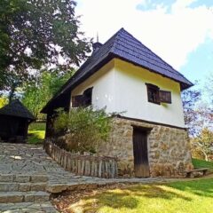 ДА НЕМА „ЛЕПШЕГ МЕСТА ОД ТРШИЋА“, ЗНАЈУ ПОСЕТИОЦИ СА СВИХ КОНТИНЕНАТА