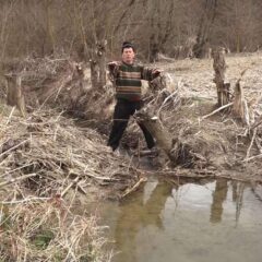 ЗУБИМА ПРЕСЕКУ СТАБЛО БРЖЕ ОД ДРВОСЕЧЕ, НЕ ЗНАЈУЋИ ДА ЧИНЕ ШТЕТУ