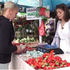 ТУРИЗМОЛОГИЈУ ЗАМЕНИЛА ПОЉЕМ ЈАГОДА