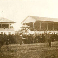 У ШАПЦУ КОЊИ ГАЛОПИРАЛИ, ДОК СУ У ОСТАТКУ СРБИЈЕ ВУКЛИ ТАЉИГЕ