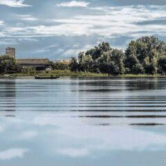 ДАН КАДА СЛАВИМО САВУ