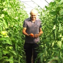 ПОВРЋЕ ИЗ ПОСАВОТАМНАВЕ СТИЖЕ НА СВЕ ТРПЕЗЕ