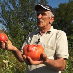 ОД ЈЕДНОГ ПЕТКОВОГ ПАРАДАЈЗА ЦЕЛА ПОРОДИЦА СИТА ДВА ДАНА