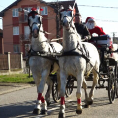 ДЕДА МРАЗ СТАРИ ФИЈАКЕРОМ ЛУТА (ВИДЕО)