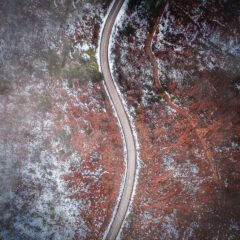 ЦЕРСКА ЛЕПОТИЦА У ЗИМСКОМ РУХУ