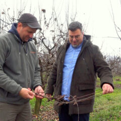 И СТРАНЦИ СХВАТИЛИ ДА ЈЕ ПОСАВИНА СТВОРЕНА ЗА ВОЋЕ