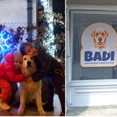 PSI IZ GRADA BRČKAJU SE „KOD BADIJA”