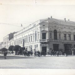 ДА ЛИ СЕ ЈОШ УВЕК „ВИДИМО КОД БОРОВА“?