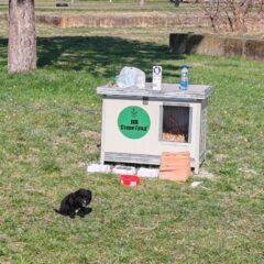 СВОЈИ НА СВОМ – КУЋИЦЕ ЗА НАПУШТЕНЕ ПСЕ