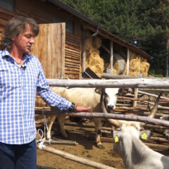 НА КРОВУ СРБИЈЕ ВЕТЕРИНАР ЧУВА ЗАБОРАВЉЕНО ЖИВОТИЊСКО ЦАРСТВО