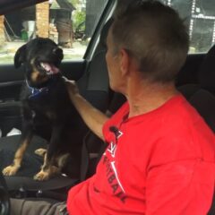 МИЛЕНКОВ ПАС ЏОНИ ОТВАРА СВЕ БРАВЕ, А ПЕТАО КУКУРИЧЕ ПО КОМАНДИ