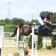 ПОСЛЕ ПОЛА ВЕКА ТАКМИЧЕЊЕ У ПРЕПОНСКОМ ЈАХАЊУ У ШАПЦУ (ВИДЕО)