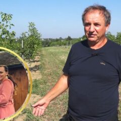 СТЕКЛИ У АУСТРИЈИ, УЛОЖИЛИ У ДЕДОВИНУ ВЕРУЈУЋИ ДА ЋЕ СЕ ПОТОМЦИ ВРАТИТИ КОРЕНИМА